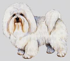 �����Ƒ��Ɍ}����O��